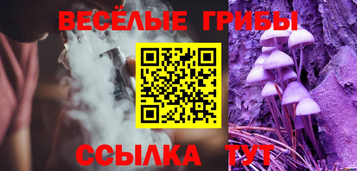 Псилоцибиновые грибы GOLDEN TEACHER Гусиноозёрск