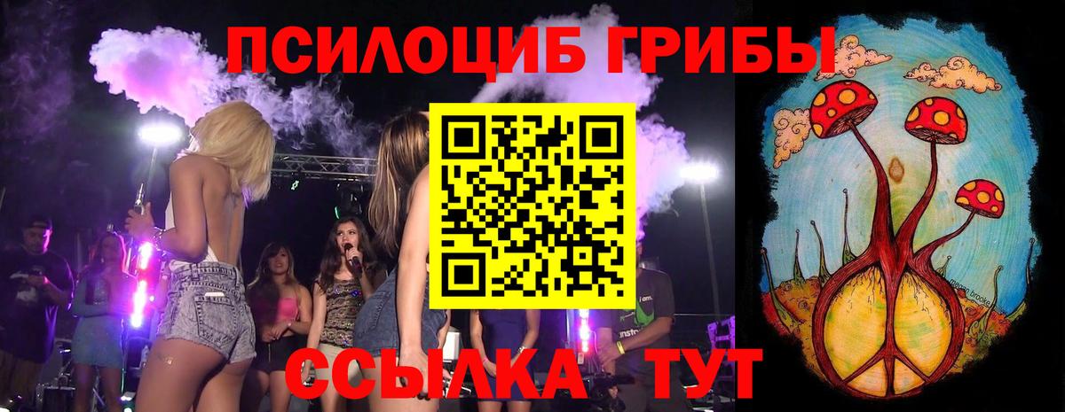 Гусиноозёрск  Галлюциногенные грибы Psilocybine cubensis  Вход с VPN  Псилоцибиновые грибы мицелий 