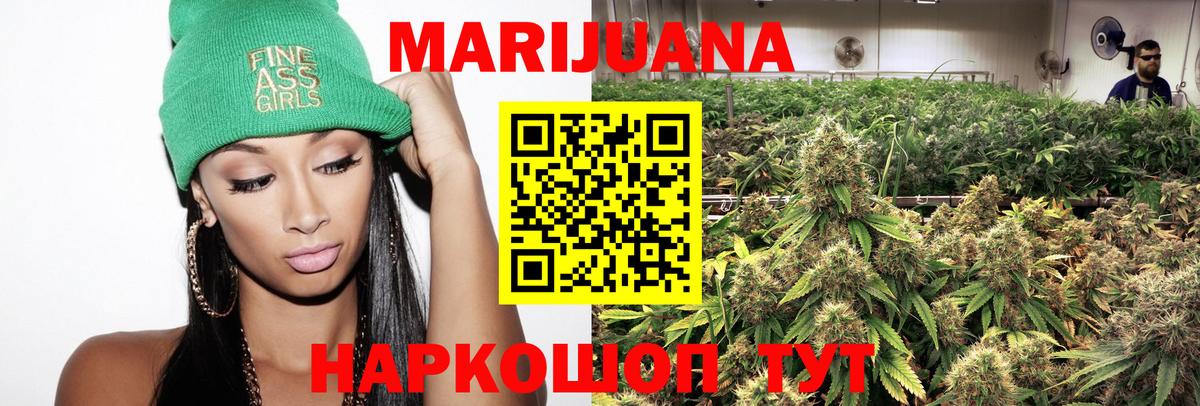 Конопля семена  Канабис Bruce Banner  МАРИХУАНА планчик  Гусиноозёрск  Вход с VPN 